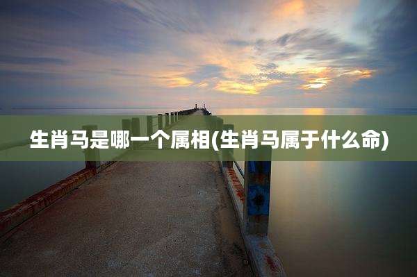 生肖马是哪一个属相(生肖马属于什么命)