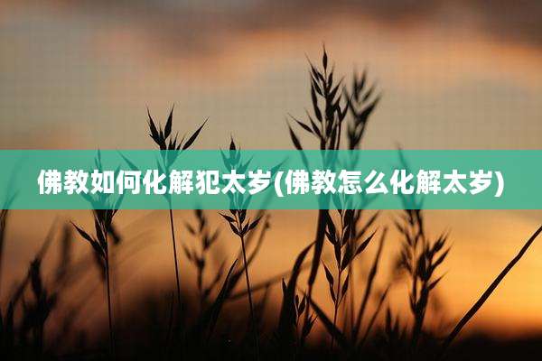 佛教如何化解犯太岁(佛教怎么化解太岁)