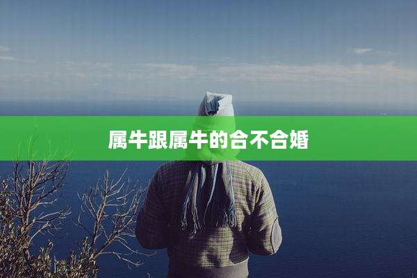属牛跟属牛的合不合婚