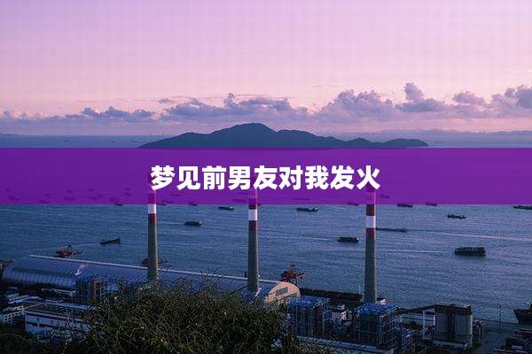 梦见前男友对我发火