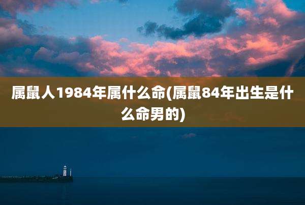 属鼠人1984年属什么命(属鼠84年出生是什么命男的)