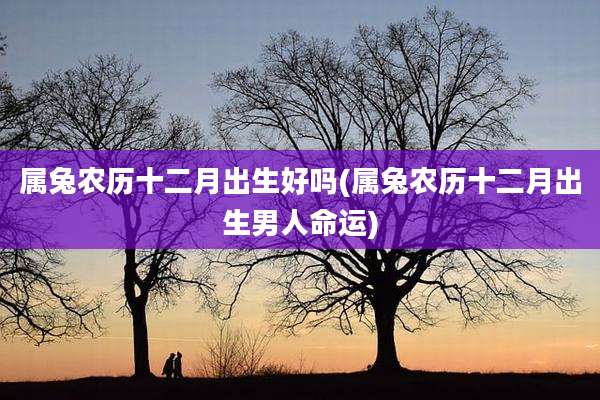 属兔农历十二月出生好吗(属兔农历十二月出生男人命运)