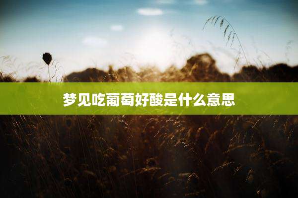梦见吃葡萄好酸是什么意思