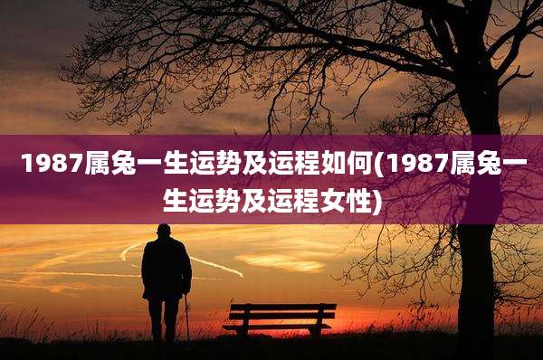 1987属兔一生运势及运程如何(1987属兔一生运势及运程女性)