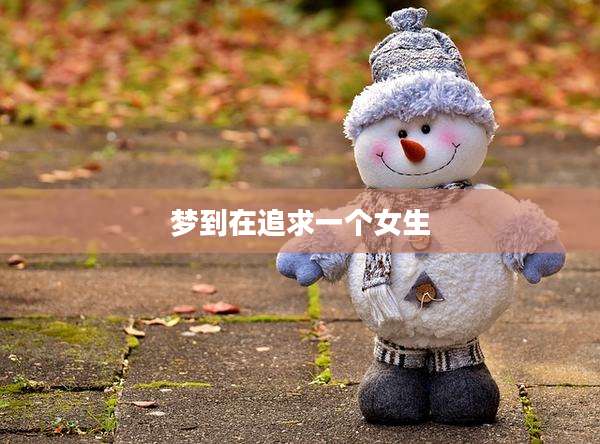 梦到在追求一个女生