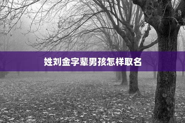 姓刘金字辈男孩怎样取名