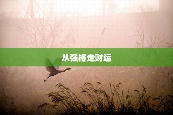 从强格走财运