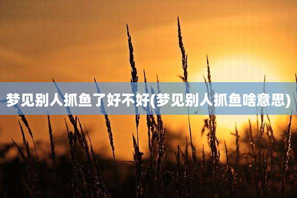 梦见别人抓鱼了好不好(梦见别人抓鱼啥意思)