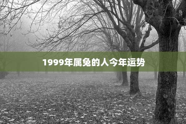 1999年属兔的人今年运势