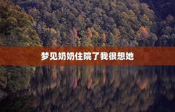 梦见奶奶住院了我很想她