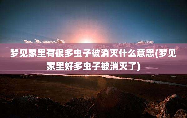 梦见家里有很多虫子被消灭什么意思(梦见家里好多虫子被消灭了)