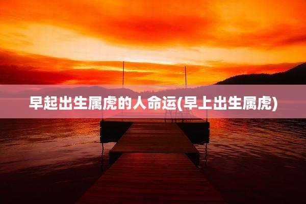 早起出生属虎的人命运(早上出生属虎)