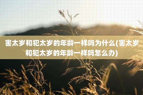 害太岁和犯太岁的年龄一样吗为什么(害太岁和犯太岁的年龄一样吗怎么办)