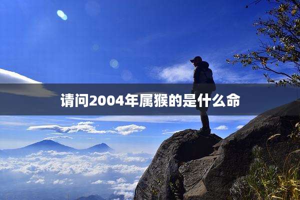请问2004年属猴的是什么命