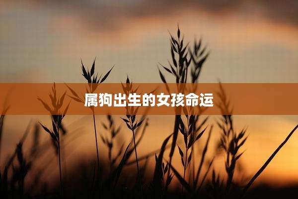 属狗出生的女孩命运