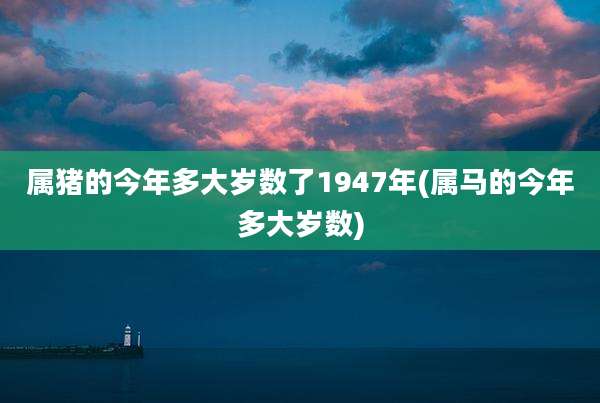 属猪的今年多大岁数了1947年(属马的今年多大岁数)
