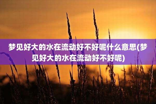 梦见好大的水在流动好不好呢什么意思(梦见好大的水在流动好不好呢)