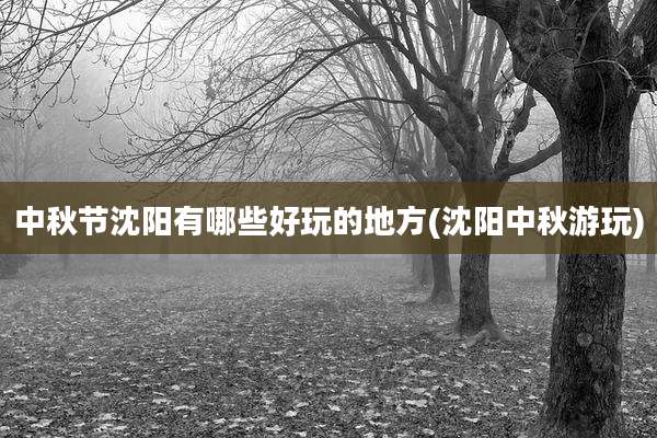 中秋节沈阳有哪些好玩的地方(沈阳中秋游玩)