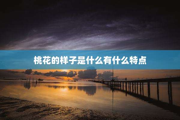 桃花的样子是什么有什么特点