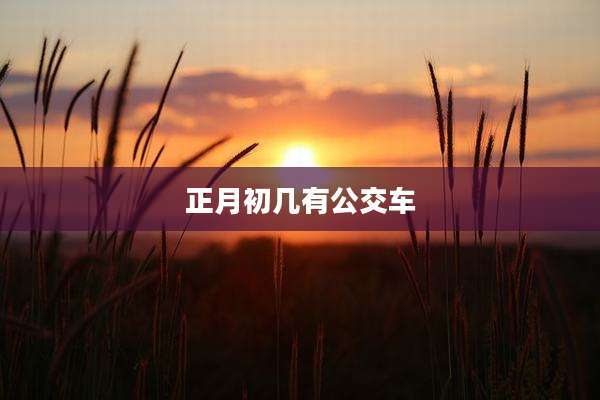 正月初几有公交车
