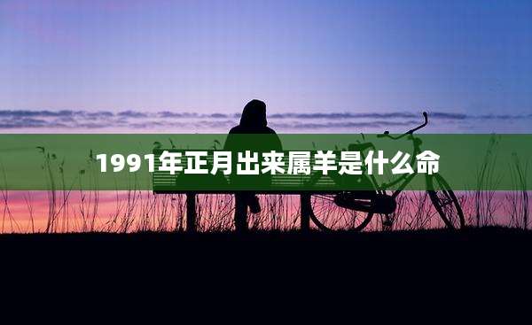 1991年正月出来属羊是什么命
