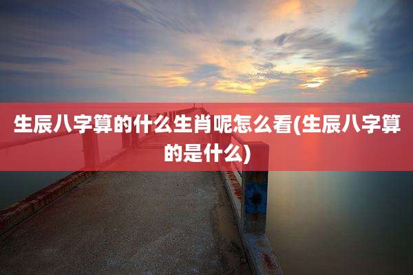 生辰八字算的什么生肖呢怎么看(生辰八字算的是什么)