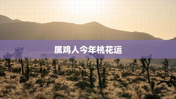 属鸡人今年桃花运
