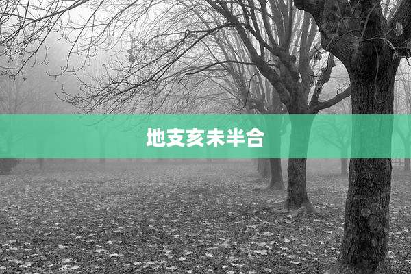 地支亥未半合