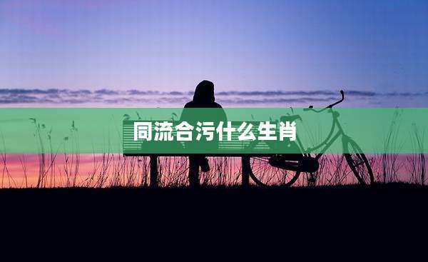同流合污什么生肖