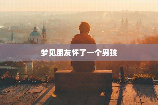 梦见朋友怀了一个男孩
