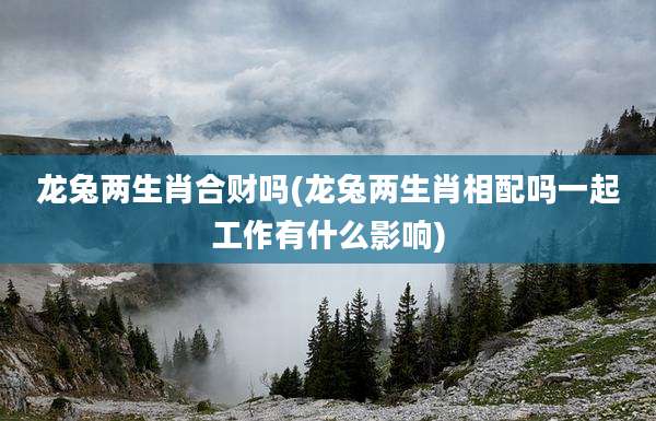 龙兔两生肖合财吗(龙兔两生肖相配吗一起工作有什么影响)