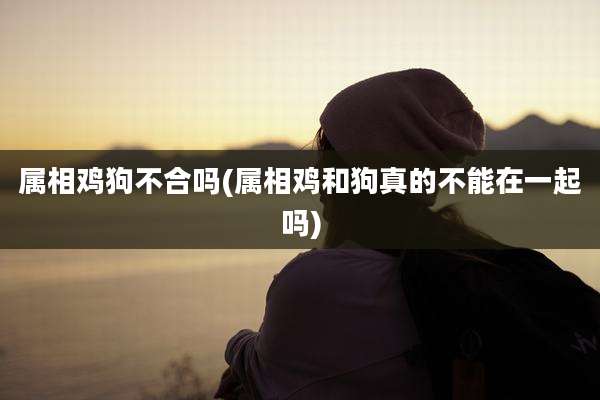 属相鸡狗不合吗(属相鸡和狗真的不能在一起吗)