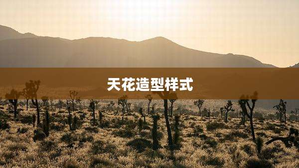 天花造型样式