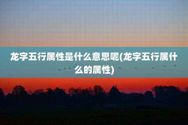 龙字五行属性是什么意思呢(龙字五行属什么的属性)