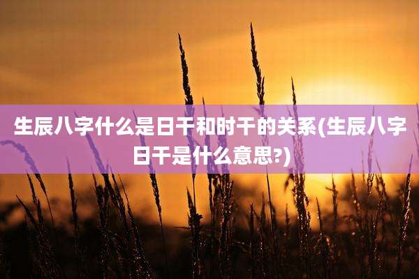 生辰八字什么是日干和时干的关系(生辰八字日干是什么意思?)