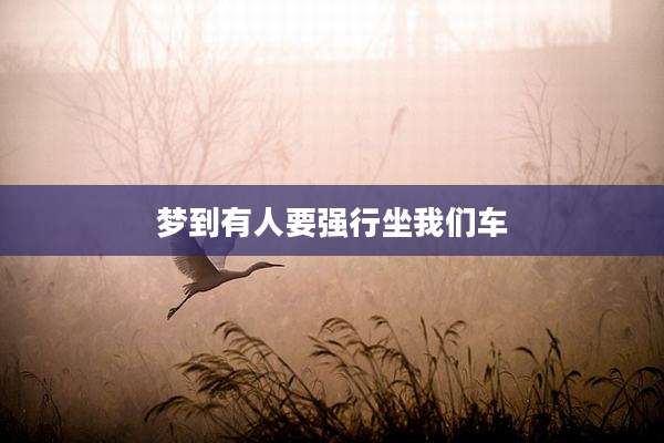 梦到有人要强行坐我们车