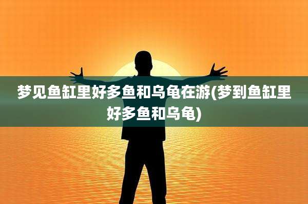 梦见鱼缸里好多鱼和乌龟在游(梦到鱼缸里好多鱼和乌龟)