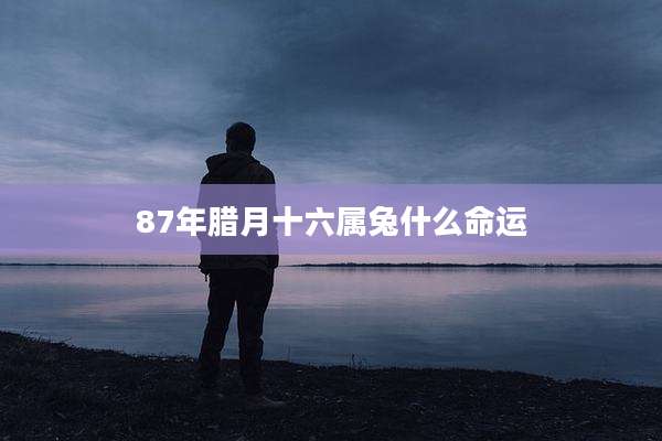 87年腊月十六属兔什么命运