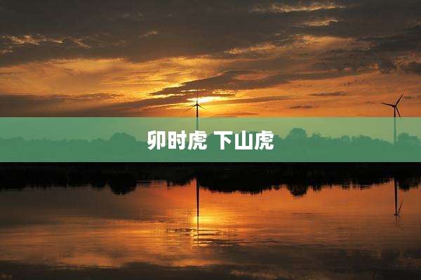卯时虎 下山虎