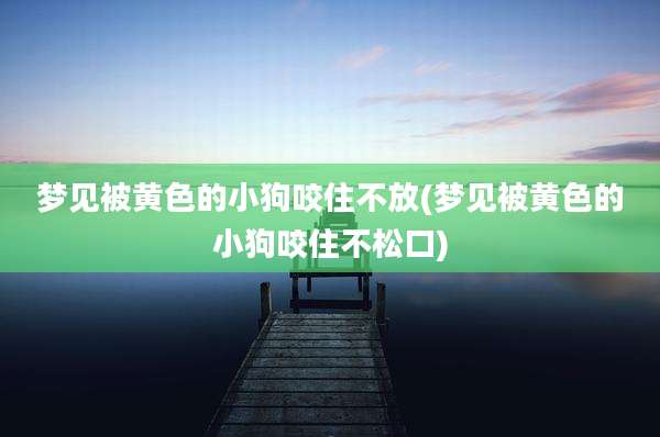 梦见被黄色的小狗咬住不放(梦见被黄色的小狗咬住不松口)