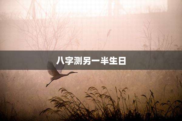 八字测另一半生日