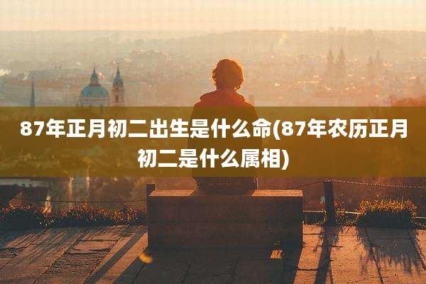 87年正月初二出生是什么命(87年农历正月初二是什么属相)