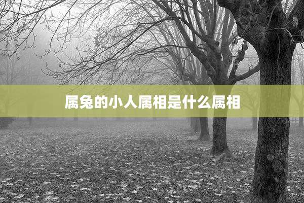 属兔的小人属相是什么属相