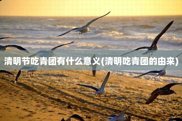 清明节吃青团有什么意义(清明吃青团的由来)