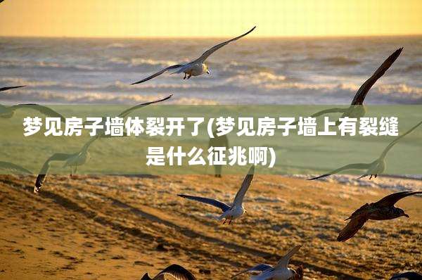 梦见房子墙体裂开了(梦见房子墙上有裂缝是什么征兆啊)