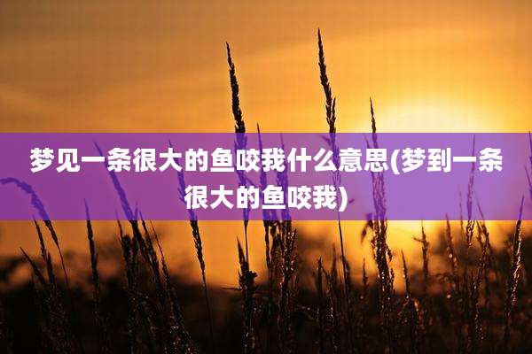 梦见一条很大的鱼咬我什么意思(梦到一条很大的鱼咬我)