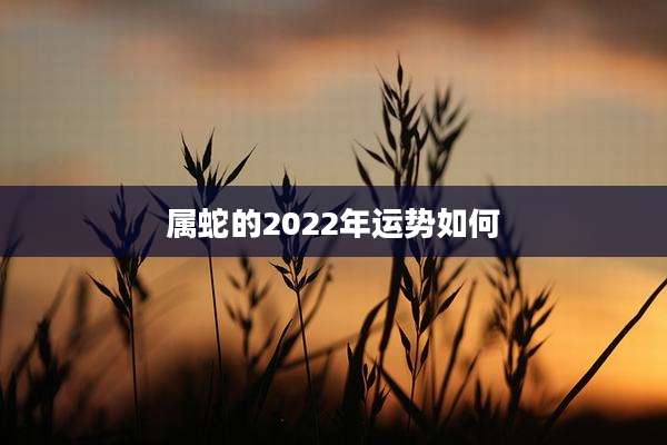 属蛇的2022年运势如何