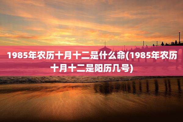 1985年农历十月十二是什么命(1985年农历十月十二是阳历几号)