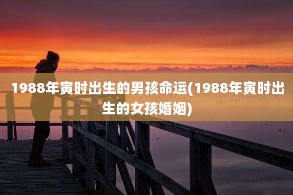 1988年寅时出生的男孩命运(1988年寅时出生的女孩婚姻)