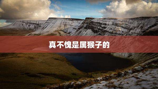 真不愧是属猴子的